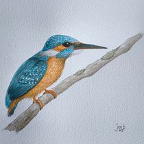 Kingfisher. Desenho realista, Ilustração tradicional, Pintura em aquarela e Ilustração naturalista projeto de Juliane Wünsche - 01.04.2025