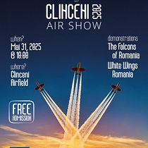 Unofficial poster for an air show Ein Projekt aus dem Bereich Bildende Künste, Br, ing und Identität, Verlagsdesign, Grafikdesign und Design von Cristian Catona - 03.04.2025