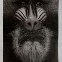 My charcoal projects. Fine Arts, Drawing, Artistic Drawing, Portrait Drawing, Realistic Drawing, and Traditional illustration project by z1sk4 - 04.06.2025
