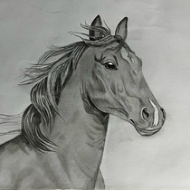 Caballo Grafito. Un projet de Dessin, Beaux Arts, Illustration naturaliste, Dessin au cra, on , et Dessin réaliste de Moraima Amestica Nahuel - 09.04.2025