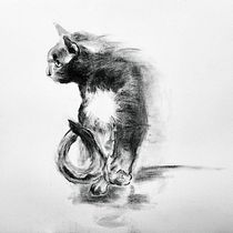 Artistic Charcoal Cat Portrait  Ein Projekt aus dem Bereich Zeichnung, Bildende Künste, Porträtzeichnung und Naturalistische Illustration von Cloud - 19.04.2025