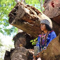 Corazón Selva. Un progetto di Consulenza creativa e Creatività di Anabel de la Cruz - 21.04.2025