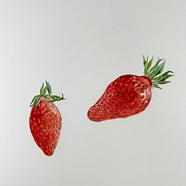Watercolor botanical illustration of 2 strawberries. Botanical Illustration, Drawing, Fine Arts, Traditional illustration, Painting, and Watercolor Painting project by Duboscq Frédérique - 04.25.2025
