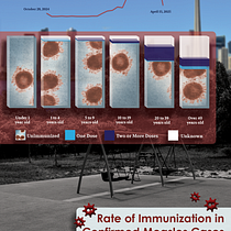 Rate of Immunization in Confirmed Measles Cases Ein Projekt aus dem Bereich Grafikdesign, Infografik und Informationsdesign von ngg - 01.05.2025