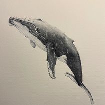 Baleias em aquarela. Naturalistic Illustration, Painting, Watercolor Painting, and Fine Arts project by Júlia Berton - 05.02.2025