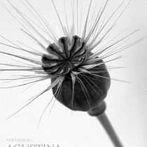 Diseño portada de libro. Un proyecto de Br, ing e Identidad, Diseño, Gestión del diseño, Diseño digital, Diseño editorial, Diseño gráfico y Tipografía de Agustina Battaglia - 02.05.2025