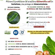 PROMOCIONALES PARA MI EMPRESA. Content Marketing, Digital Marketing, Facebook Marketing, Instagram Marketing, and Social Media project by Melisa Correa - 05.02.2025