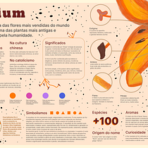Infográfico - Lírio. Un proyecto de Diseño gráfico, Infografía, Diseño de la información, Diseño de carteles e Ilustración botánica de Guilherme Nunes - 05.05.2025