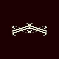 Another Life - Streetwear. Br, ing e Identidade, Design, Design gráfico, Design de logotipo, Desenho tipográfico, e Design de moda projeto de Gabriel Duarte - 06.05.2025