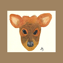 Pudu puda juvenil. Desenho realista, Ilustração tradicional, Ilustração naturalista, e Pintura em aquarela projeto de María Brunella Marchi - 08.05.2025