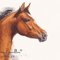 Messager du Zéphyr. Desenho realista, Ilustração tradicional, Ilustração naturalista, e Pintura em aquarela projeto de Morgane Bouiller - 10.05.2025