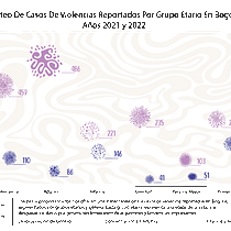 Conteo De Casos De Violencias Reportados Por Grupo Etario En Bogotá  Años 2021 y 2022. Design de informação, Design interativo e Infografia projeto de rony.produccion - 13.05.2025
