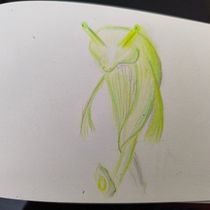 Fantasy Creatures. Drawing, Naturalistic Illustration, Pencil Drawing, and Sketchbook project by Isabel Pita - 05.17.2025