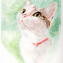 Expressive animals in watercolour with Sarah Stokes. Desenho realista, Ilustração tradicional, Ilustração naturalista, e Pintura em aquarela projeto de Amanda Heenan - 17.05.2025