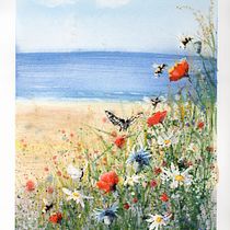 Summer seaside meadow Ein Projekt aus dem Bereich Traditionelle Illustration, Naturalistische Illustration und Malerei von Amanda Heenan - 19.05.2025