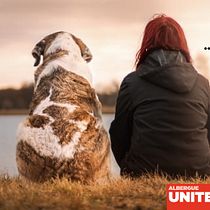 Campaña Albergue United Pets of Domestik. Advertising, and Creativit project by underfred - 05.20.2025