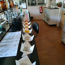 Encuadernación mariposa floral Ein Projekt aus dem Bereich Bildende Künste, Buchbinderei und DIY von patriciamontesinos80 - 20.05.2025