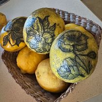 Cesta de limones  Ein Projekt aus dem Bereich Zeichnung von María Ruiz Romero - 20.05.2025