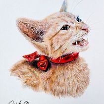 Pandora Ein Projekt aus dem Bereich Traditionelle Illustration und Naturalistische Illustration von Jessica Katherine Guaqueta Romero - 20.05.2025