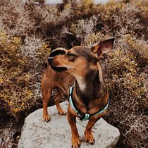 Coco y la playa  Ein Projekt aus dem Bereich Fotografie, Porträtfotografie, Lifest, le-Fotografie, Fotografie für Instagram und Dokumentarfotografie von naylenp - 21.05.2025