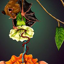 Tzinacán y la creación del cempoalxóchitl. Digital Illustration, Digital Painting, Drawing, Traditional illustration, Naturalistic Illustration, and Realistic Drawing project by Diana Olvera - 05.22.2025