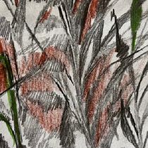Meadow flowers inspired me Ein Projekt aus dem Bereich Bildende Künste, Zeichnung, Traditionelle Illustration, Malerei, Aquarellmalerei und Botanische Illustration von Nastaran Razavi - 22.05.2025