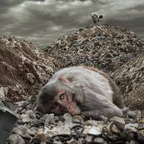 "SE SO VENDUTI I COLORI...I COG***NI". Photograph, Photograph, Post-production, Photo Retouching, Fine-Art Photograph, Photographic Composition, Photomontage, and VFX project by francescopor1309 - 05.23.2025