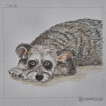 CHLOE, the dog. Un proyecto de Ilustración tradicional e Ilustración naturalista				 de suathar5 - 23.05.2025