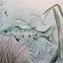 Barracuda and Friends. Un projet de Illustration traditionnelle, Illustration naturaliste, Peinture , et Aquarelle de Amy Lagers - 25.05.2025