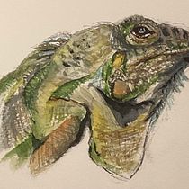 Animals in Watercolour: Elephant. Realistic Drawing, Traditional illustration, Naturalistic Illustration, and Watercolor Painting project by y7dfcnx8rv - 05.25.2025