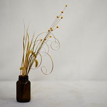 Summer. Decoration, Floral, Plant Design, Interior Decoration & Interior Design project by thazinthaungstpaul - 05.26.2025