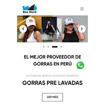 Blueshark . UX / UI, and Web Design project by ediegih - 05.28.2025
