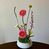Neon Springtime. Decoration, Floral, Plant Design, Interior Decoration & Interior Design project by Angelica - 05.29.2025