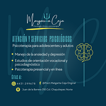 CREACIÓN DE CONTENIDO PARA DAR A CONOCER UN CONSULTORIO PSICOTERAPEUTICO. Een project van Marketing, Digitale marketing,  Contentmarketing, Facebook-marketing, YouTube Marketing y Marketing voor Instagram van Margarita Ceja - 31.05.2025