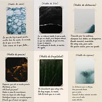 Mi proyecto final: Diario de poesía visual: narra con fotografía y versos. Digital Photograph, Fine-Art Photograph, Portrait Photograph, and Creative Writing project by Anabell Jorge - 06.01.2025