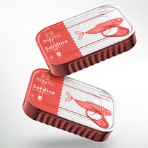 South Co. Br, ing, Identit, Art Direction, and Graphic Design project by Luis Amau - 06.01.2025