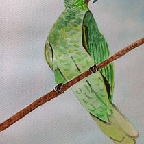 LORO. Traditional illustration, Naturalistic Illustration, and Watercolor Painting project by cintyaortizlemos - 06.02.2025