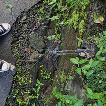Projeto Águas Urbanas. Photograph, Outdoor Photograph, Documentar, and Photograph project by Juline Rodrigues - 06.08.2025
