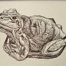 Ballpoint pen sketches. Desenho, Ilustração com tinta, Sketchbook, e Esboçado projeto de y7dfcnx8rv - 08.06.2025