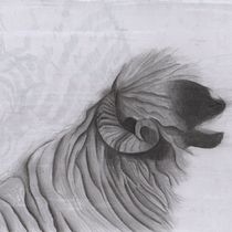 Desenho naturalista de animais com lápis grafite: Churra. Drawing, Traditional illustration, Naturalistic Illustration, and Pencil Drawing project by Natalia Silva - 06.09.2025