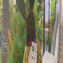Kokedamas, Habitad, Colores. y Texturas . Arts, Crafts, Decoration, Interior Design, DIY, L, scape Architecture, Floral, and Plant Design project by Edric Gutierrez Salazar - 06.10.2025
