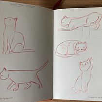 Works in progress - character design (anthropomorphic animals). Design de personagens, Ilustração infantil, Desenho com lápis de cor, Desenho, e Desenho a lápis projeto de Nina Mistry-Rhoades - 11.06.2025