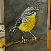 Australian Eastern Yellow Robin. Un proyecto de Bellas Artes, Ilustración naturalista				, Pintura al óleo y Pintura de Kat Sarhani - 12.06.2025