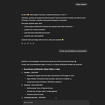 Asistente para Tours. AI Content Creation, AI Design, AI programming, Artificial Intelligence, Business, ChatGPT, Creative Consulting, Design Management, Management, and Productivit project by Oscar Ivan Ojeda Aldana - 06.16.2025