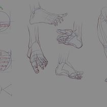 Final Project Anatomical Drawing of Limbs, Hands and Feet. Desenho artístico, Desenho, Desenho anatômico, Artes plásticas, Ilustração com tinta, Desenho a lápis, Desenho de retrato, Desenho realista, Sketchbook, e Esboçado projeto de Elinna Khor - 17.06.2025
