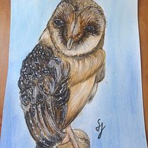 Aquarell Eule Abschlussprojekt. Un progetto di Belle arti, Pittura, Illustrazione tradizionale e Pittura ad acquerello di saskia jäkel - 17.06.2025