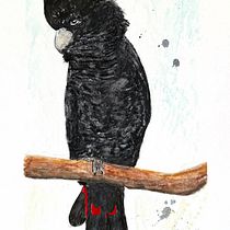 Australian Birds in Watercolour. Traditional illustration, Naturalistic Illustration, and Watercolor Painting project by Reg Watson - 06.23.2025
