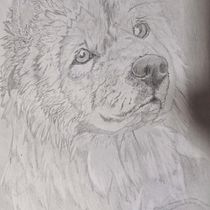 MI MASCOTA . Drawing, Pencil Drawing, Artistic Drawing, and Realistic Drawing project by thaxzuya - 06.24.2025
