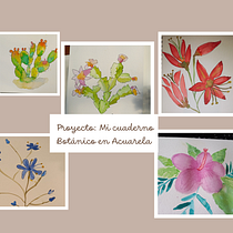 Mi cuaderno botánico. Traditional illustration, Watercolor Painting, Botanical Illustration, and Sketchbook project by Clara Tapia - 06.27.2025
