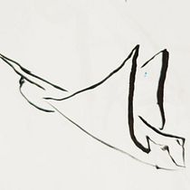 Águilas de mar. Sketching, Creativit, Drawing, Traditional illustration, and Sketchbook project by Marta - 06.27.2025